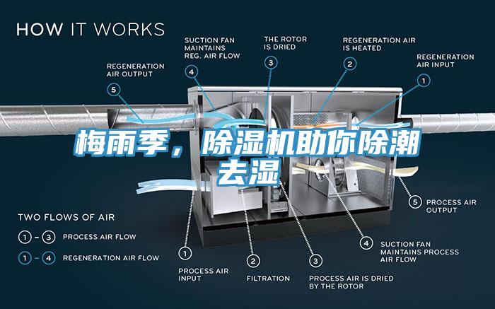 梅雨季，除濕機(jī)助你除潮去濕