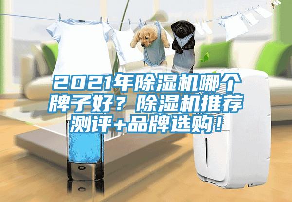 2021年除濕機哪個牌子好？除濕機推薦測評+品牌選購！