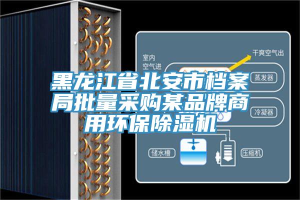 黑龍江省北安市檔案局批量采購某品牌商用環(huán)保除濕機(jī)