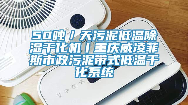 50噸／天污泥低溫除濕干化機丨重慶威凌菲斯市政污泥帶式低溫干化系統