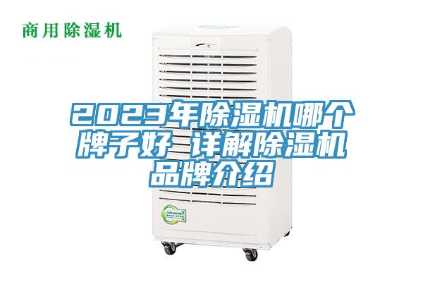 2023年除濕機哪個牌子好 詳解除濕機品牌介紹