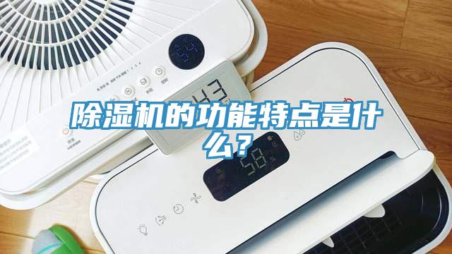 除濕機(jī)的功能特點(diǎn)是什么？