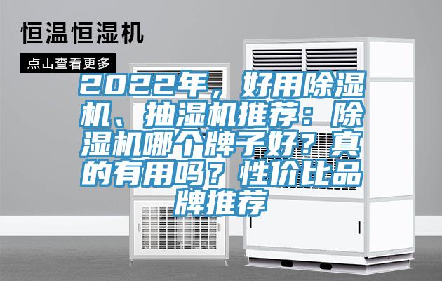 2022年，好用除濕機、抽濕機推薦：除濕機哪個牌子好？真的有用嗎？性價比品牌推薦