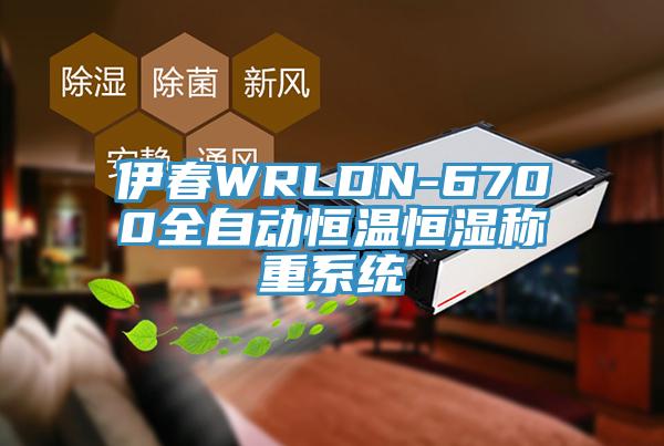 伊春WRLDN-6700全自動(dòng)恒溫恒濕稱重系統(tǒng)