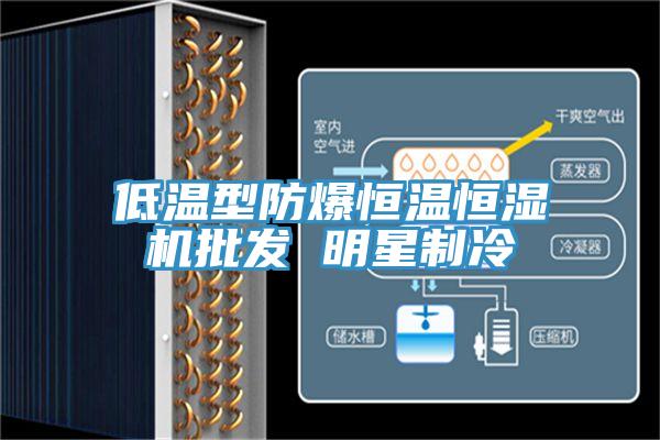 低溫型防爆恒溫恒濕機批發(fā) 明星制冷