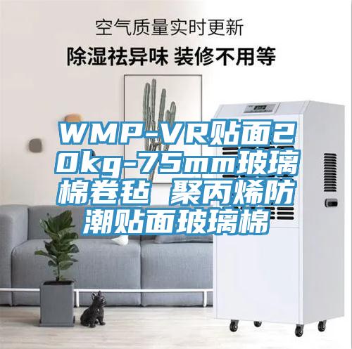 WMP-VR貼面20kg-75mm玻璃棉卷氈 聚丙烯防潮貼面玻璃棉