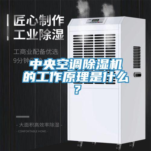 中央空調除濕機的工作原理是什么？