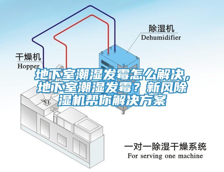 地下室潮濕發霉怎么解決，地下室潮濕發霉？新風除濕機幫你解決方案