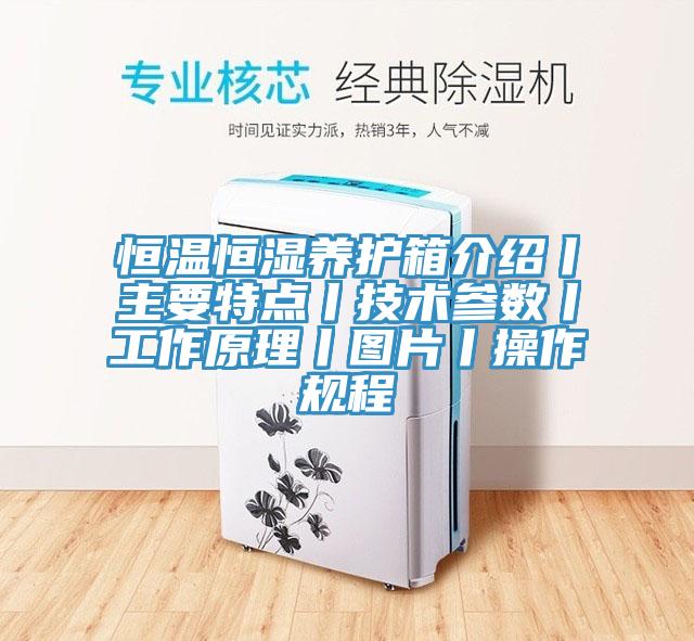 恒溫恒濕養護箱介紹丨主要特點丨技術參數丨工作原理丨圖片丨操作規程