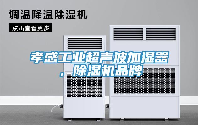 孝感工業超聲波加濕器，除濕機品牌