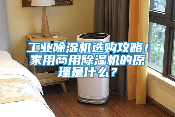 工業除濕機選購攻略！家用商用除濕機的原理是什么？