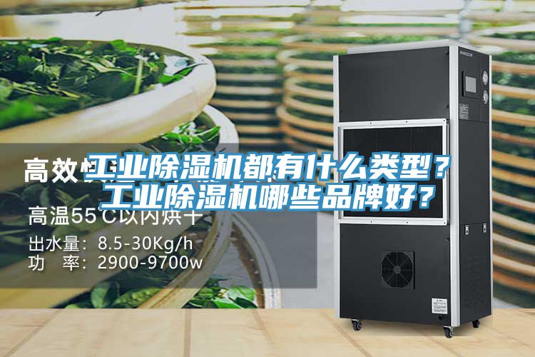 工業除濕機都有什么類型？工業除濕機哪些品牌好？