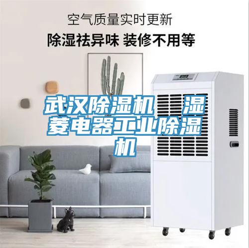 武漢除濕機  濕菱電器工業除濕機