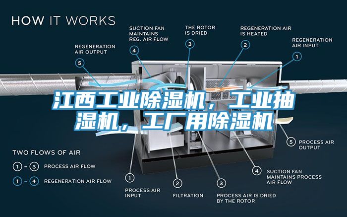 江西工業除濕機，工業抽濕機，工廠用除濕機