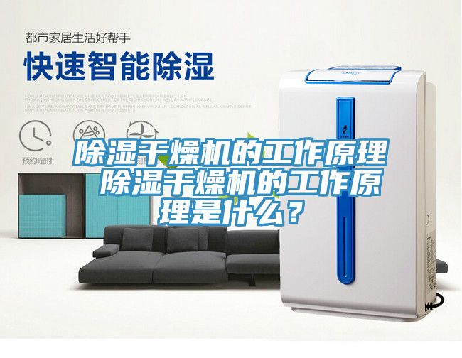 除濕干燥機的工作原理 除濕干燥機的工作原理是什么？