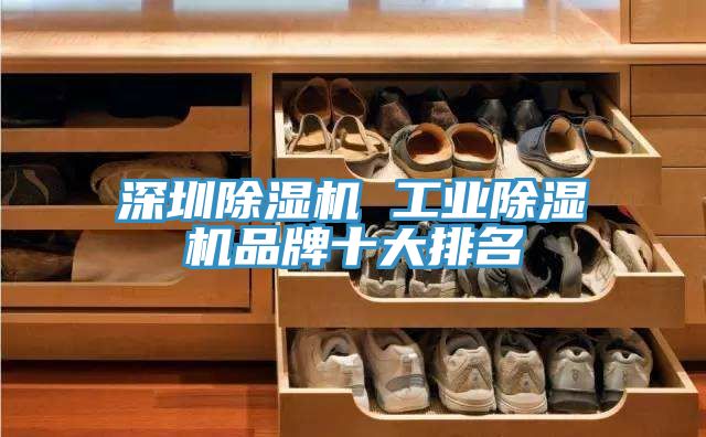 深圳除濕機 工業除濕機品牌十大排名