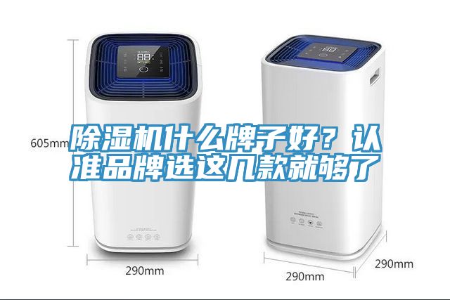 除濕機什么牌子好？認準品牌選這幾款就夠了