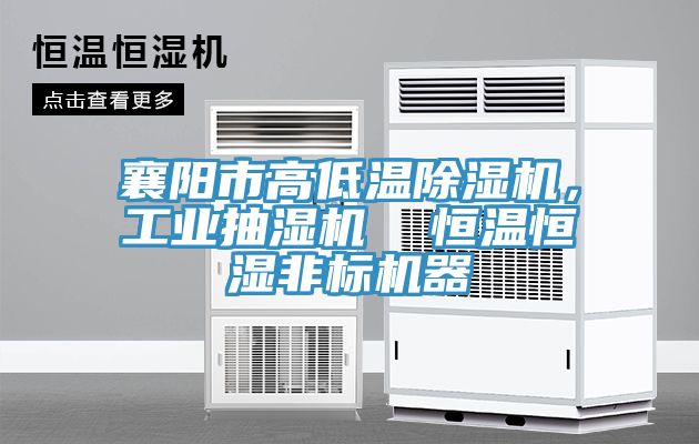 襄陽市高低溫除濕機，工業抽濕機  恒溫恒濕非標機器