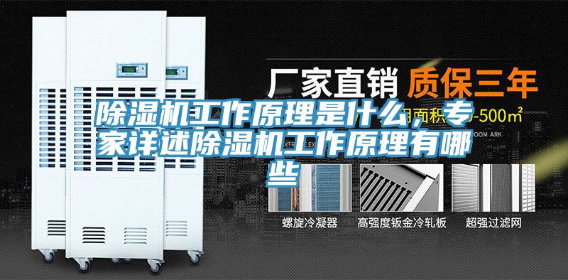 除濕機工作原理是什么，專家詳述除濕機工作原理有哪些