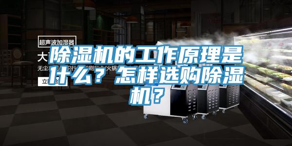 除濕機的工作原理是什么？怎樣選購除濕機？