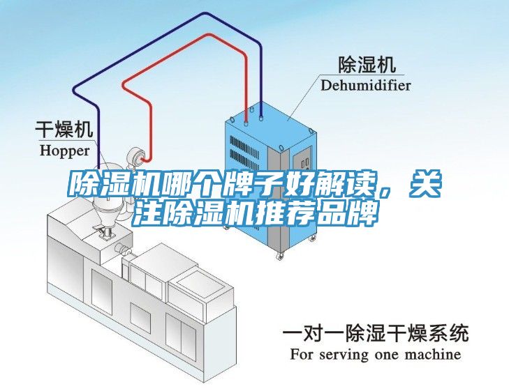 除濕機(jī)哪個牌子好解讀，關(guān)注除濕機(jī)推薦品牌